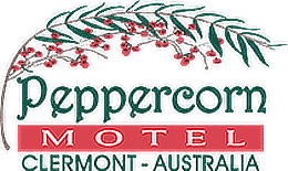 Peppercorn Motel Clermont